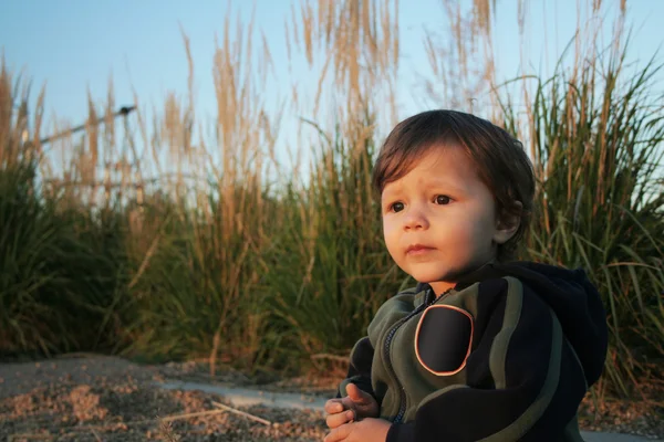 Baby boy in the park — Stock Photo, Image