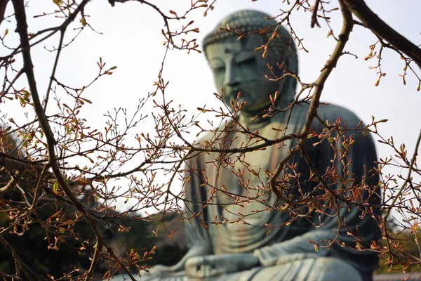 Bouddha géant au printemps — Photo