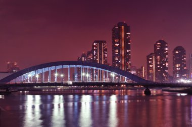 Tokyo Nehri