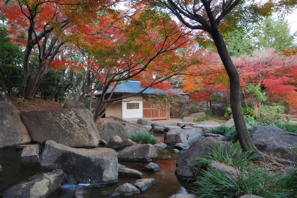 Японский сад — стоковое фото