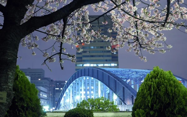 Tokyo spring — Stock Photo, Image