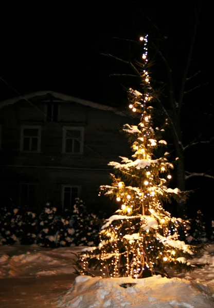 Weihnachtsbaum Mit Schnee Und Licht — Stockfoto