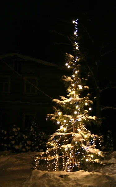 Χριστουγεννιάτικο δέντρο με χιόνι — Φωτογραφία Αρχείου