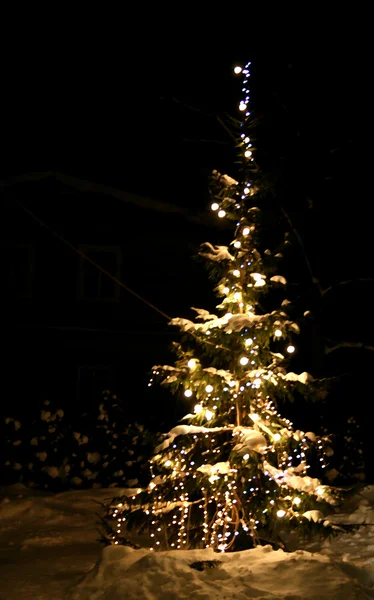 Weihnachtsbaum mit Schnee — Stockfoto