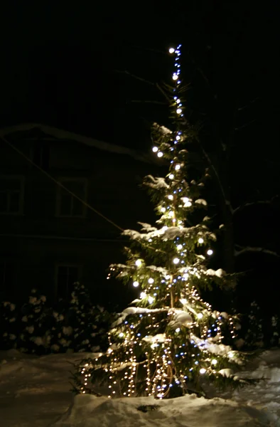 Weihnachtsbaum mit Schnee — Stockfoto