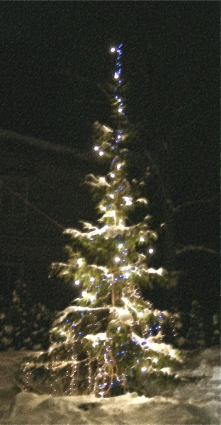 Kerstboom met sneeuw — Stockfoto
