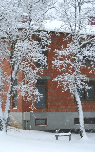 Snowy Træer Foran Røde Mursten Bygning - Stock-foto