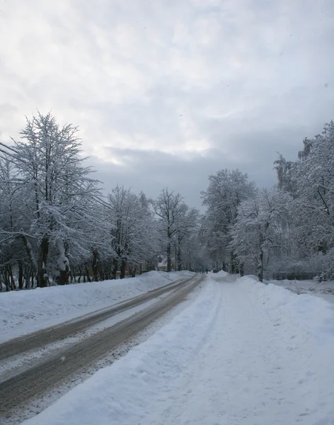 Kışın Boş Sokak — Stok fotoğraf