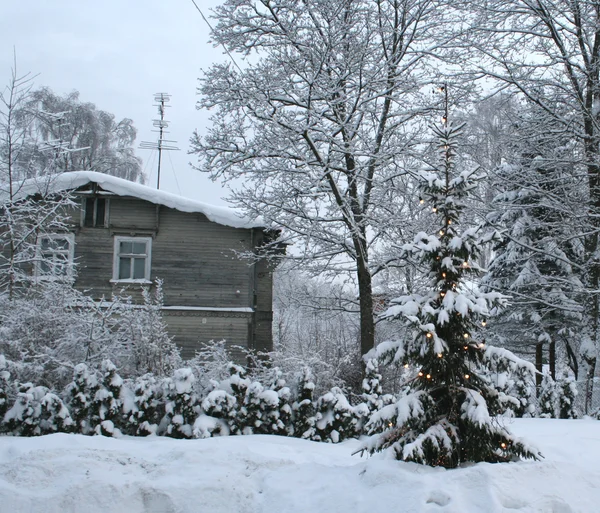 Árvore de Natal no parque nevado — Fotografia de Stock