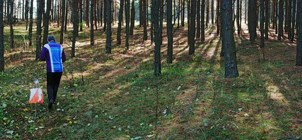 Orientação desportiva na floresta — Fotografia de Stock