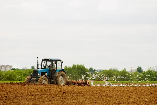 Traktör bir tarım alanı pulluklar — Stok fotoğraf