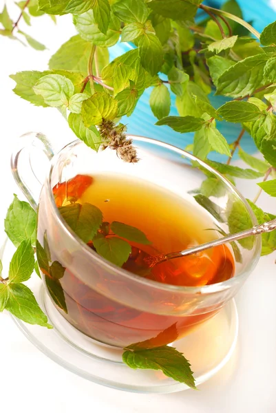 Chá de hortelã — Fotografia de Stock