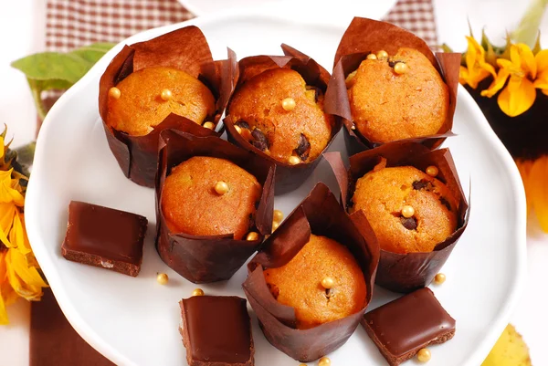 Chocolate chip muffins — Stock Photo, Image