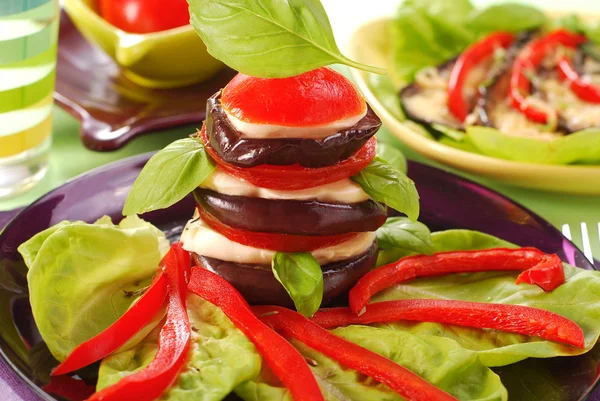 Förrätt Med Grillad Aubergine Mozzarella Tomat Och Basilika — Stockfoto