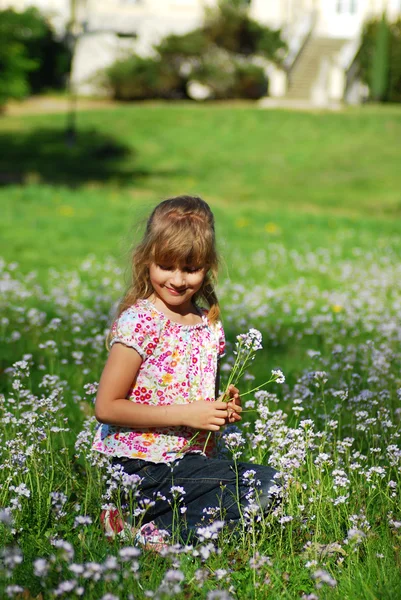 Молода Дівчина Лузі Збирає Дикі Квіти — стокове фото