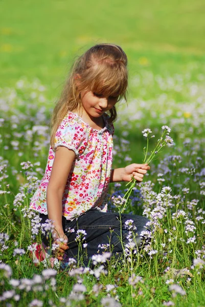 年轻女孩采摘野花的草地上 — 图库照片