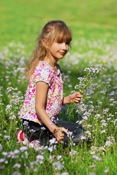Chica joven en el prado —  Fotos de Stock