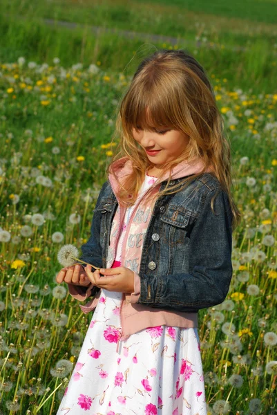 Young girl on meadow — Stock Photo, Image