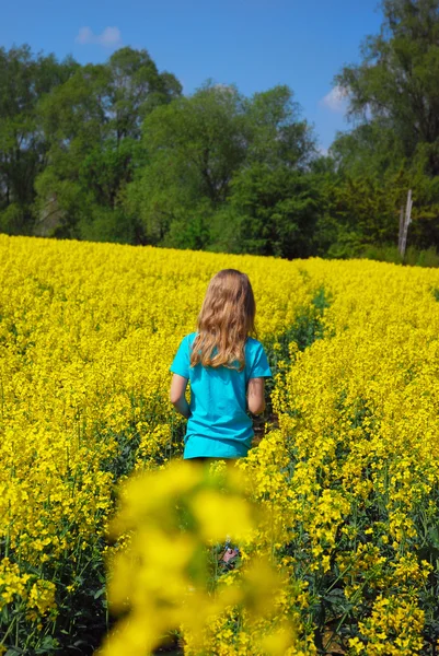 stock image Young girl walking in spring rape field