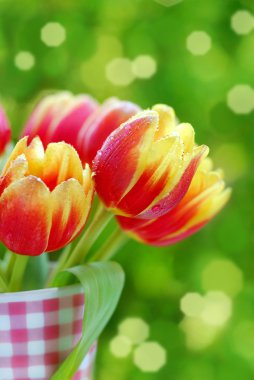 Bunch of red- yellow tulips clipart