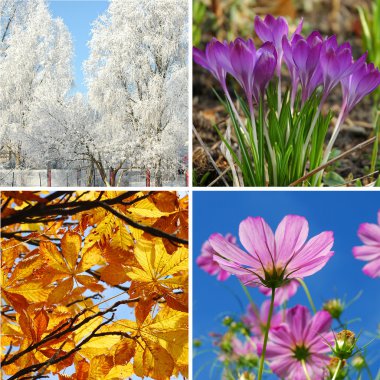 Four seasons of the year