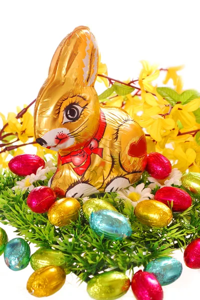 Conejo de chocolate de Pascua y huevos —  Fotos de Stock