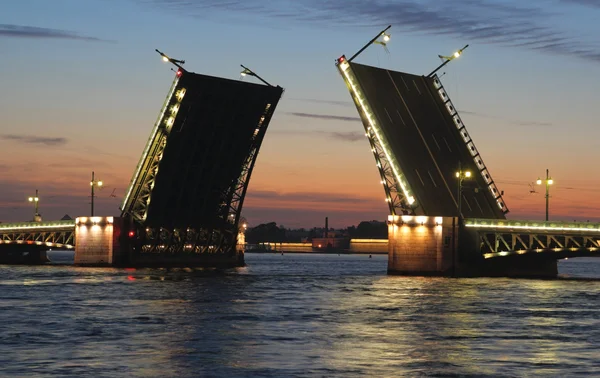 Natt Syn Palace Bridge Petersburg Ryssland — Stockfoto