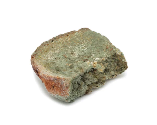 Mouldy bread, isolated — Stock Photo, Image