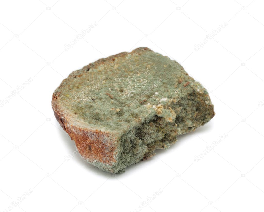 Mouldy bread, isolated