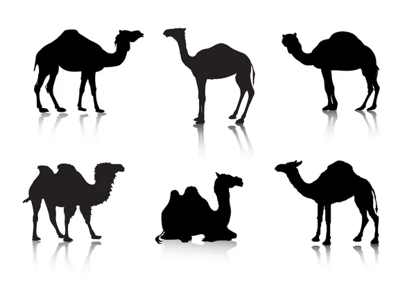 stock vector From a series Silhouettes. Animals. A camel