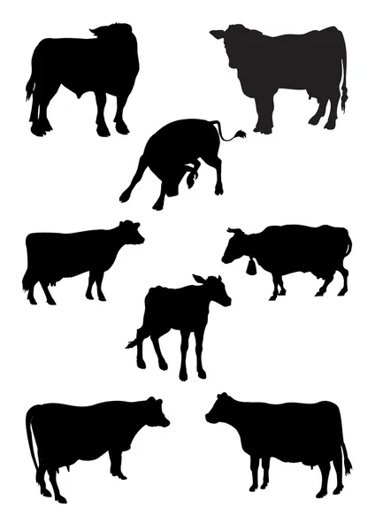Van een reeks silhouetten. dieren. koe — Stockvector