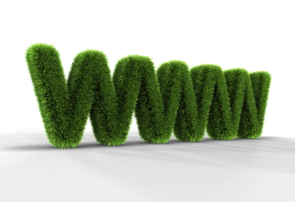 Grass Letters Www Isolated White Background Rendering — Stock Photo, Image