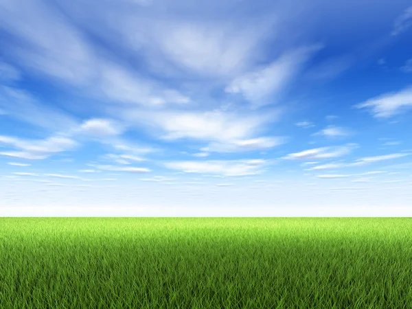 Taze Yeşil Çim Mavi Gökyüzü Bulutlu — Stok fotoğraf