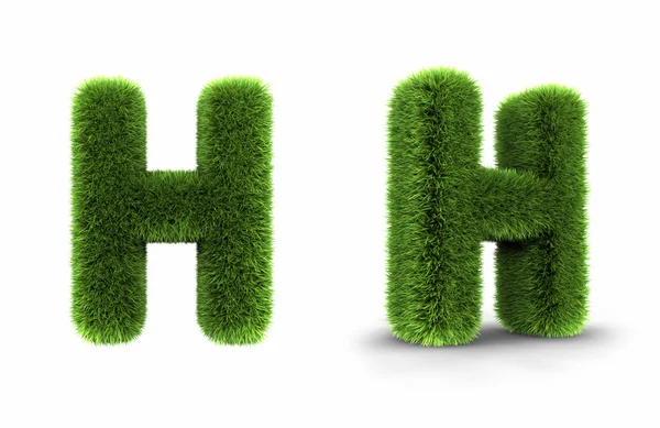 Gräs bokstaven h — Stockfoto