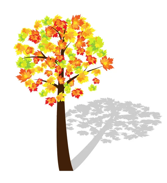 Herbstahorn — Stockvektor