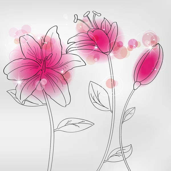 Διανυσματικές Εικόνες Ροζ Λουλούδια Lilia — Διανυσματικό Αρχείο