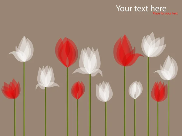 Vector Afbeelding Met Witte Rode Tulpen Zwarte Achtergrond — Stockvector