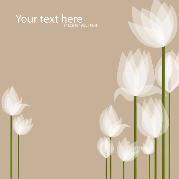 Witte tulpen — Stockvector