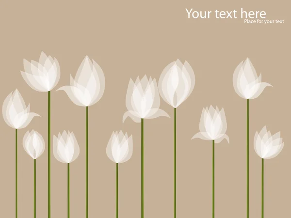 Bílé tulipány — Stockový vektor