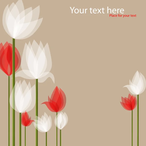 Білі тюльпани — стоковий вектор