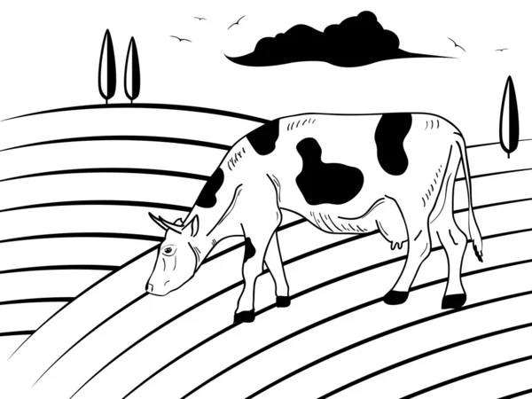Корова на поле — стоковый вектор