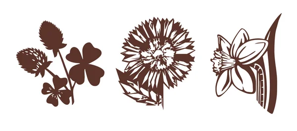 Illustrations de fleurs — Image vectorielle