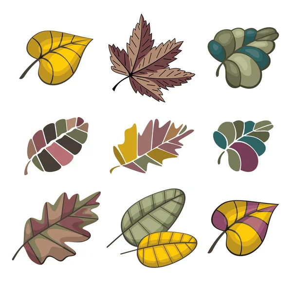 Set of autumn leaves — Stock Vector