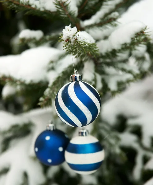 Nowy rok Kula na pokryte śniegiem drzewo futro — Zdjęcie stockowe