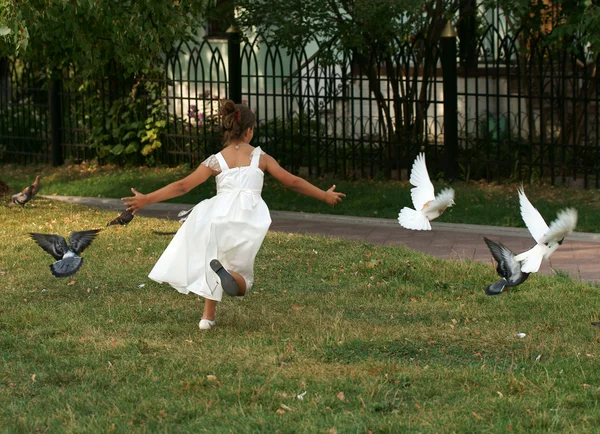 A menina no parque dirige pombos — Fotografia de Stock