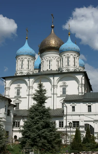 新的斯帕斯基修道院. — 图库照片