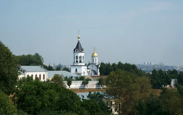 크리스마스 Vladimir 남자의 수도원-루시에서 촬영 — 스톡 사진
