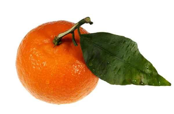 Reife Mandarine mit grünem Blatt. — Stockfoto