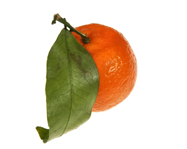 Спелый мандарин с зеленым листом . — стоковое фото