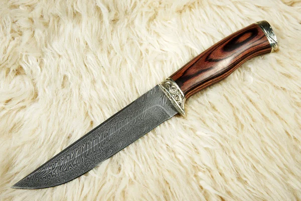 Le couteau de chasse sur la peau d'un bélier — Photo